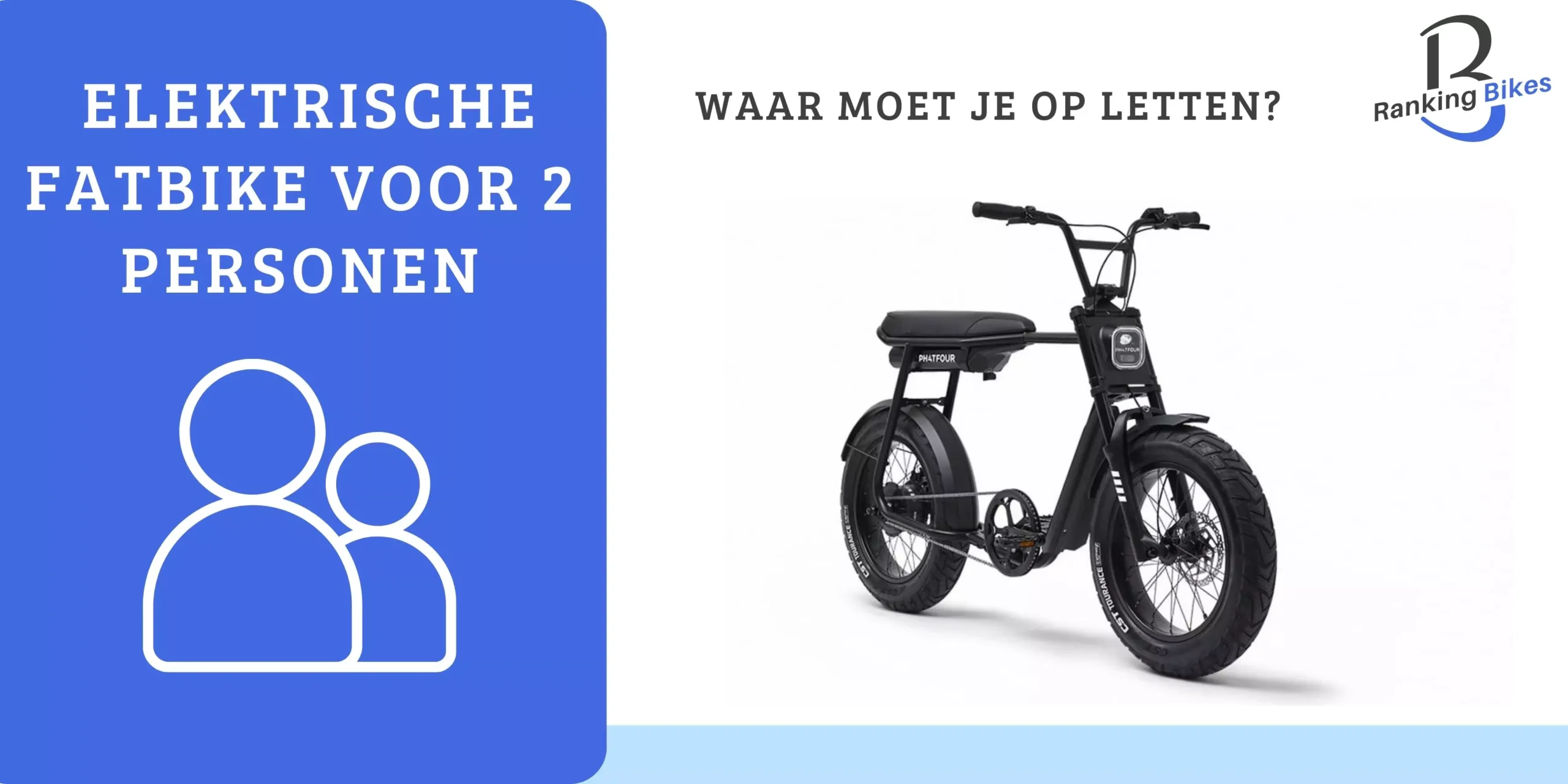 Elektrische fatbike 2 personen